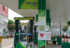 Harga BBM Pertamina, Shell, BP, dan Vivo, Kompak  Naik pada Oktober, Ini Rincian Harganya 