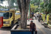 BREAKING NEWS: Ratusan Sopir Truk dan Bus Gruduk Kantor Walikota Jambi 
